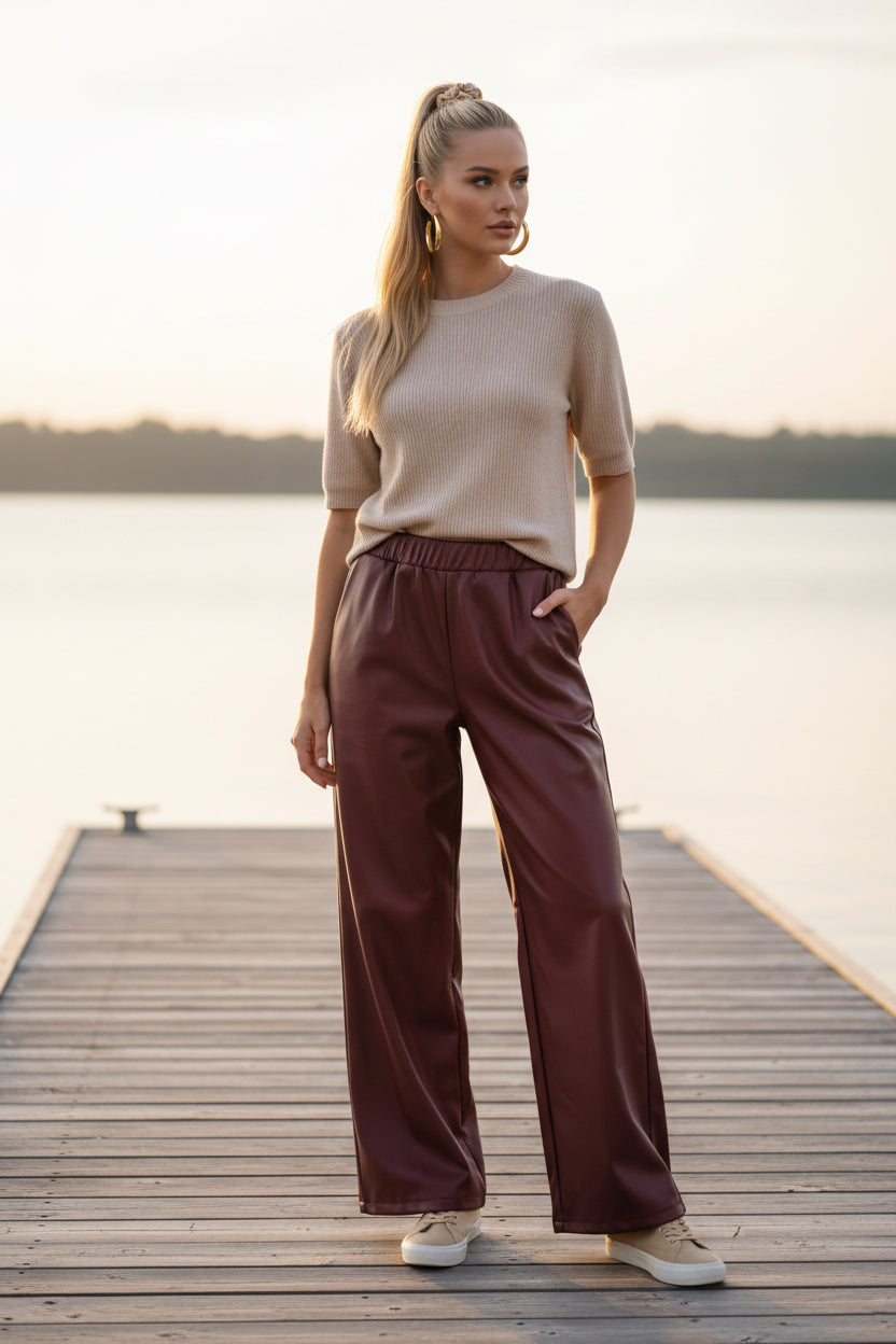 Pantalon similicuir JETT