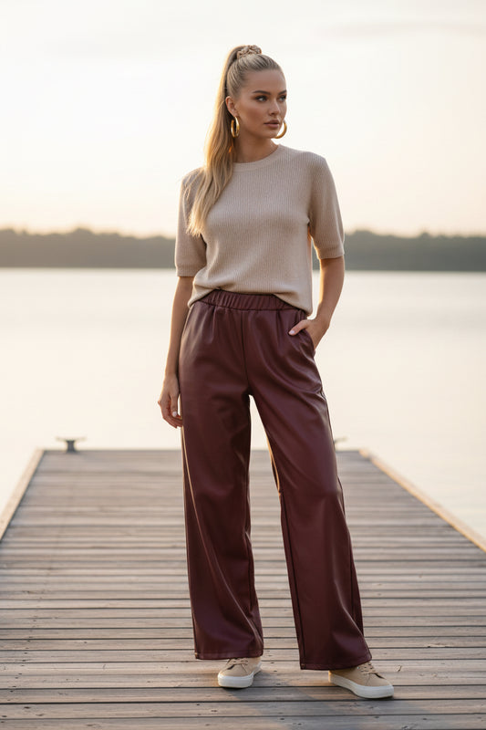 Pantalon similicuir JETT