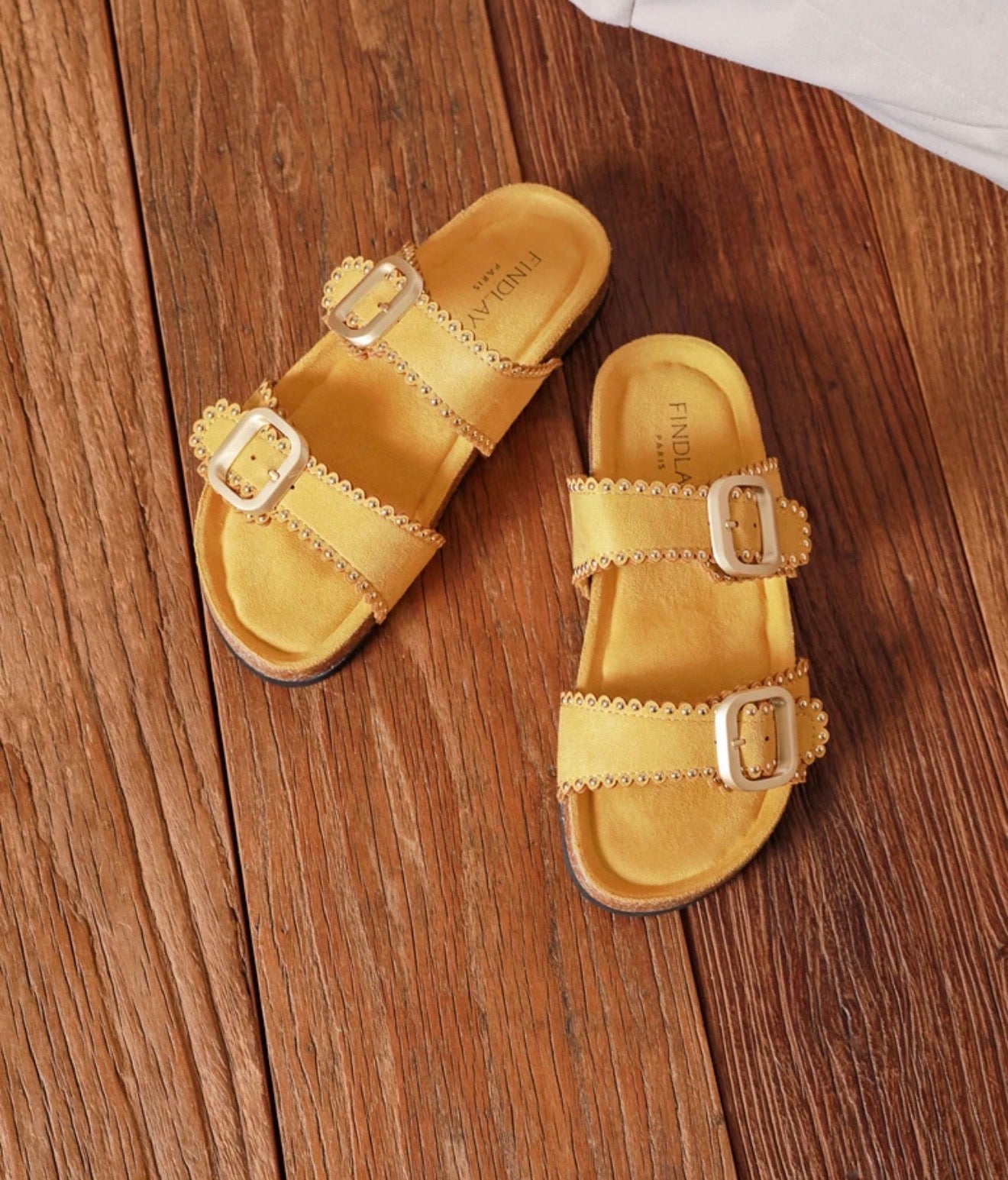 446 MULES